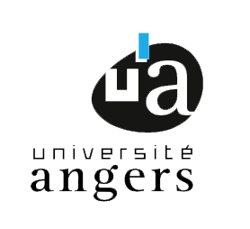UA